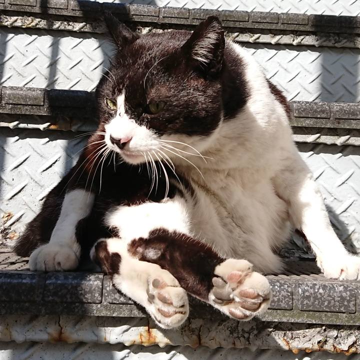 6693ebf7 363c 4b61 8151 c559d1311265 1614047711747