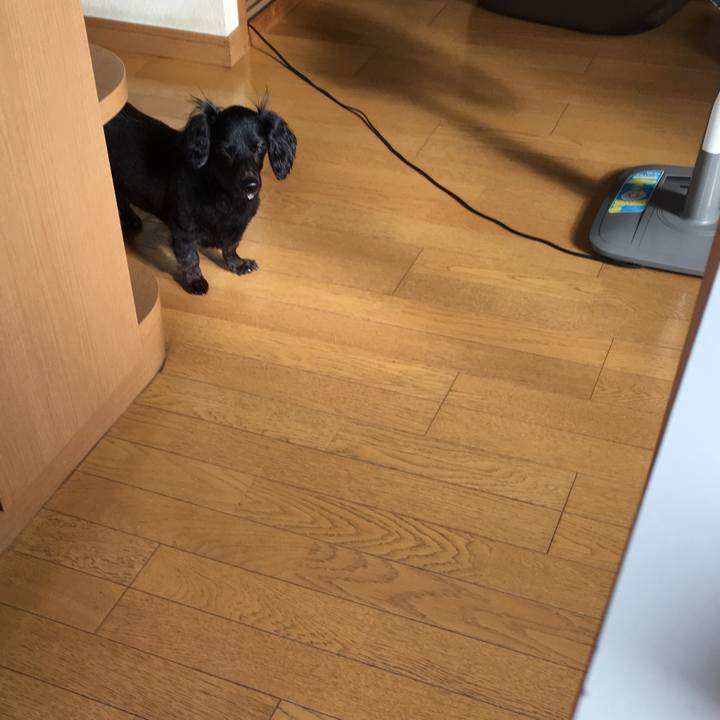 6694194c 1212 4863 9a7e 9c7f74e9e79b 1534718320633