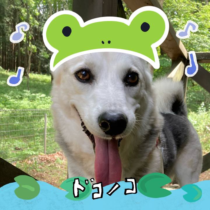 66941f43 8a57 40b2 8d00 a465f7661957 1717579308389