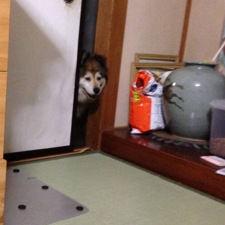 6694b5cd f39c 4346 a542 089d7c21d30e 1566759857632