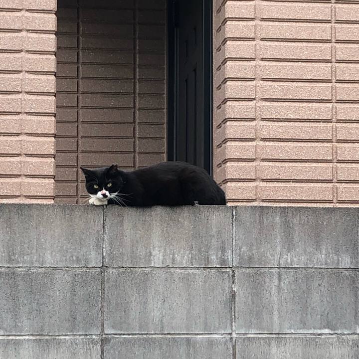 66951748 2fa5 4a71 952f 0600bc4b7e54 1568468766371