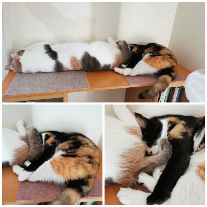 66952f89 55d2 4b2b b495 ff74a9d3f6d4 1632047472308