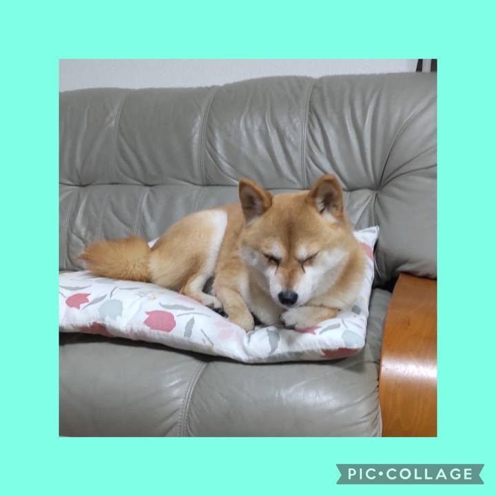 669533d4 2c43 4476 a67f 17957d651b3b 1745060544681