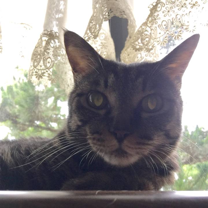 6695932d dc32 4223 b058 b12935ea49af 1628824406274