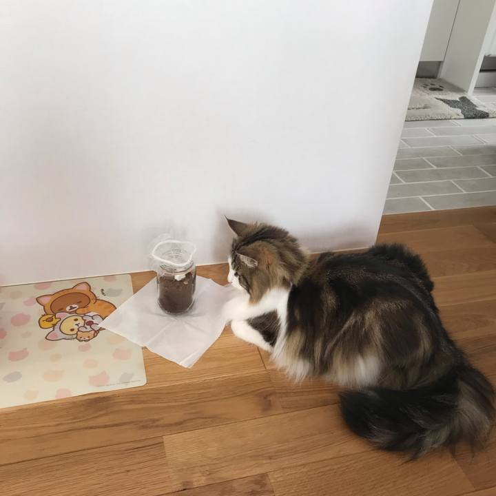 6695a9d6 dde4 436a bdb7 88ac516e8275 1590886892788