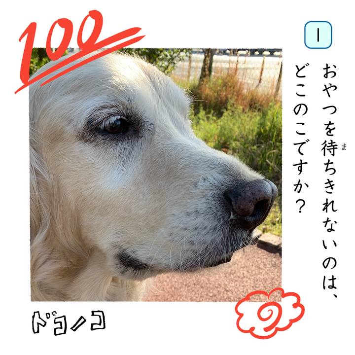 6695e783 fe75 4b61 b026 fcb77578c6d7 1744377140204