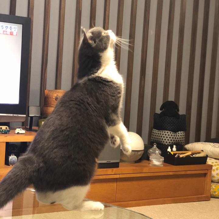 66961506 2f59 4835 a191 7d1a8893051e 1558830963935