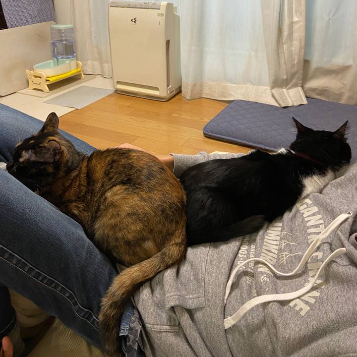 66961853 a055 4905 8cad ea888042b23e 1635666114289