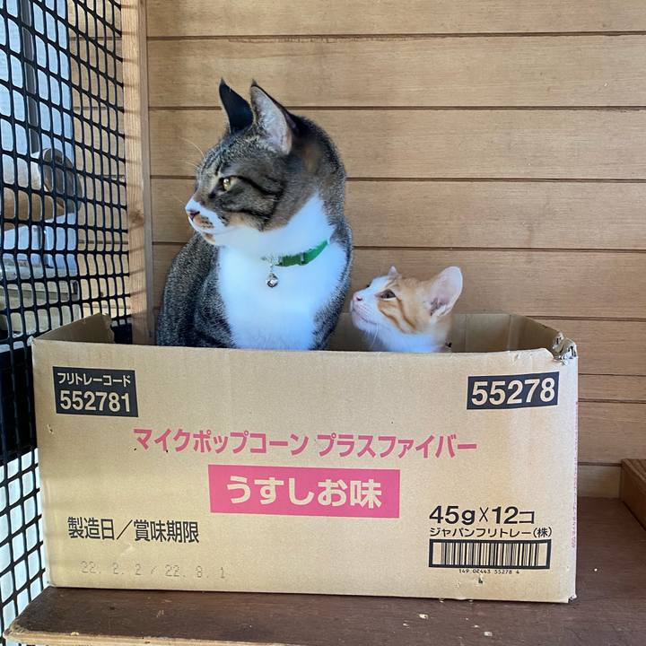 66961cad dba7 4532 bfa3 71ecea146ffc 1666658193623