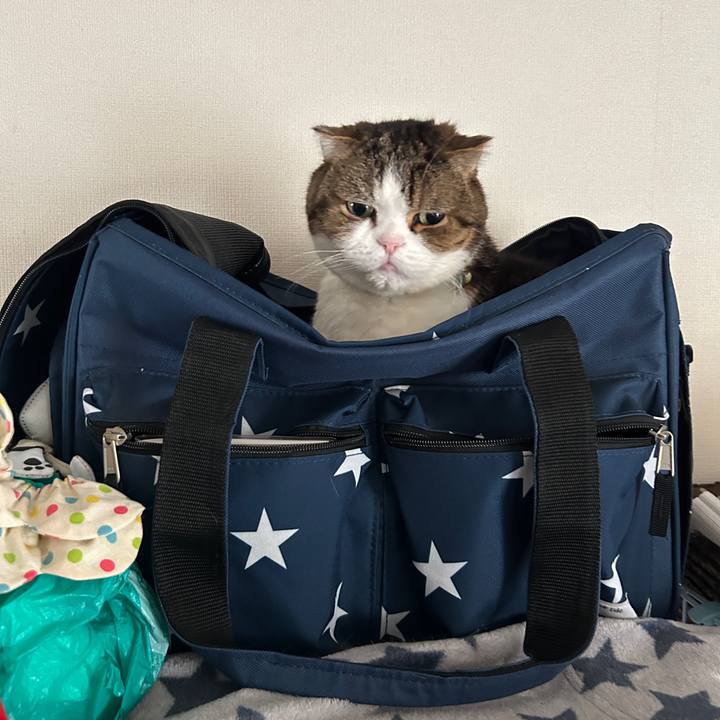 66962df1 77ea 4ee3 8cf5 093eef79040c 1775165245747