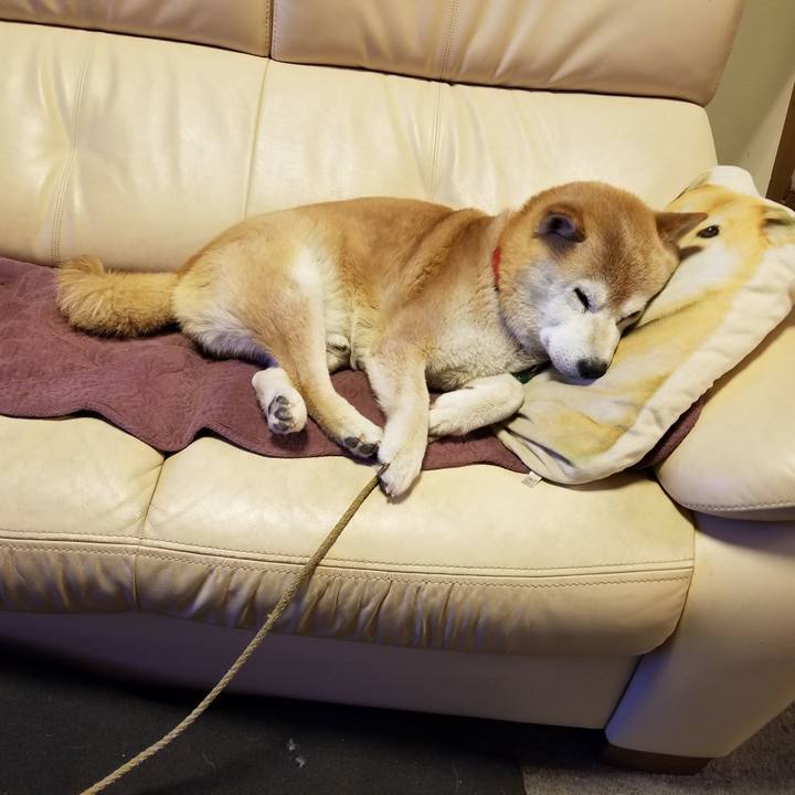 66963fd5 9073 4ba9 b6cb 9fcabef627fc 1717498220885