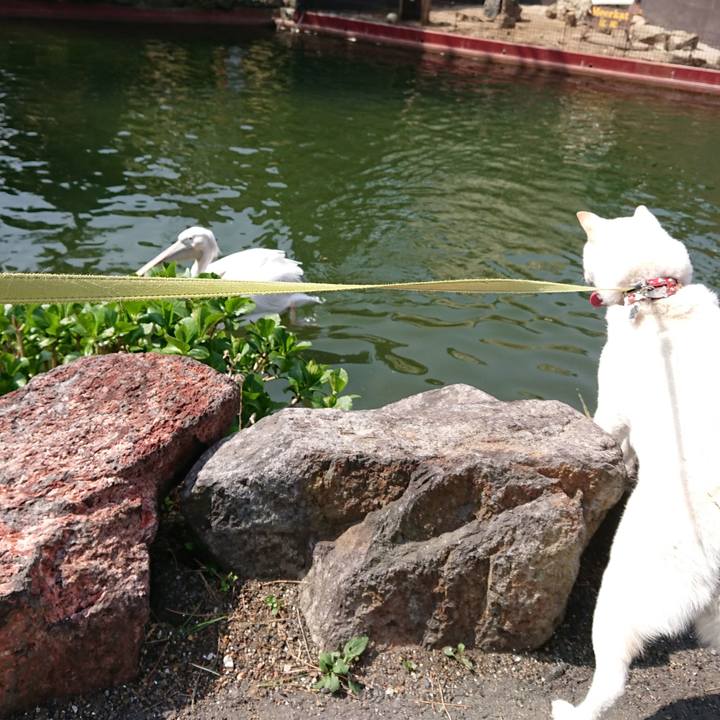 669656eb 0676 4989 b603 147f393e4326 1522288260927