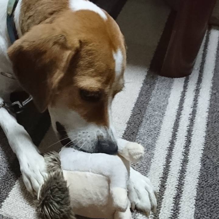 669658b8 e63f 414e bcd7 2505e521accf 1572435488295