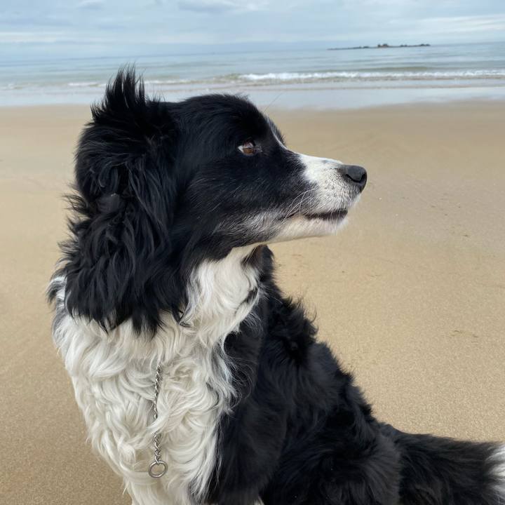 66966449 6f39 44b5 9dbd f30a69179ded 1614578532029