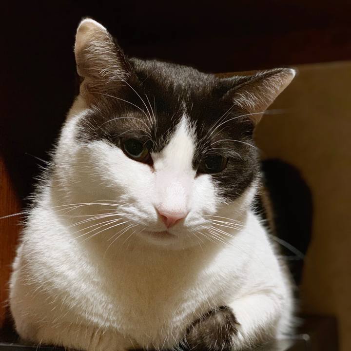 66966bd1 9bce 4981 b316 0411fdbc4b59 1553909940258