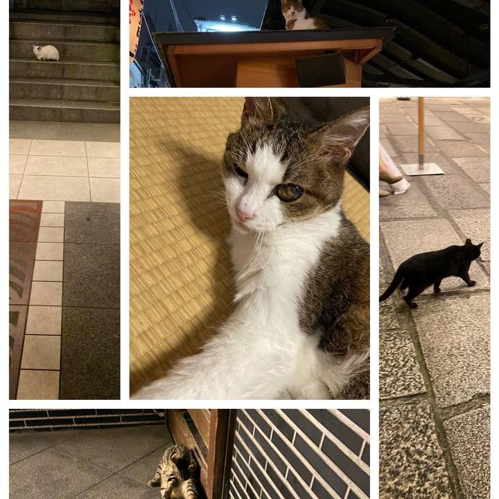 66969cd5 00ef 44ef 8a60 85cd04b9da06 1571629408488