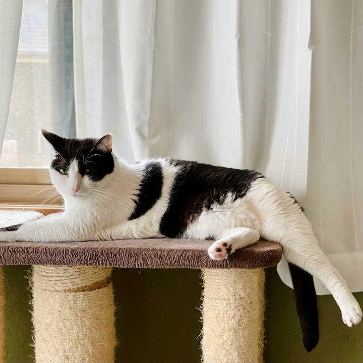 6696aabd 06a0 42c9 85c1 e8c2c35d7711 1622948467637