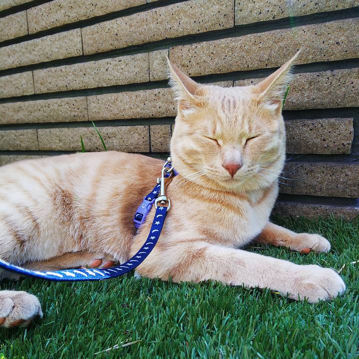 6696b6d3 bc74 4d85 87eb eb3f58cb2d05 1559439802518