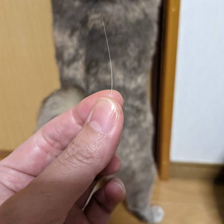 6696c7cc 490c 4e06 8b73 df1f8ad0a663 1676644858737