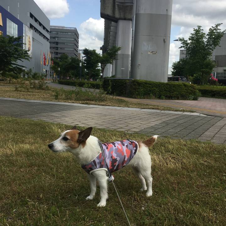 6696e6c3 9fc4 4294 87ae a6620cdb9d4a 1590538030150