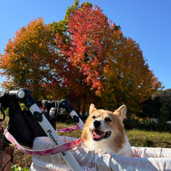 6696fa85 fb65 4f8c 8d2d 4467dc0a13b6 1731986849861