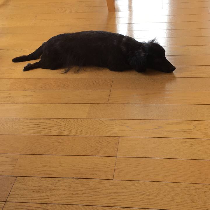 6696fb62 647e 4966 81c3 07b6dabf50bc 1539300497302