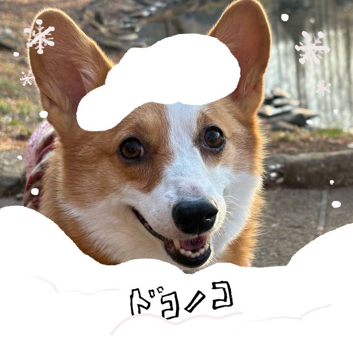 66973a40 14f1 4fb8 be44 1fb89dcd305c 1772234898366