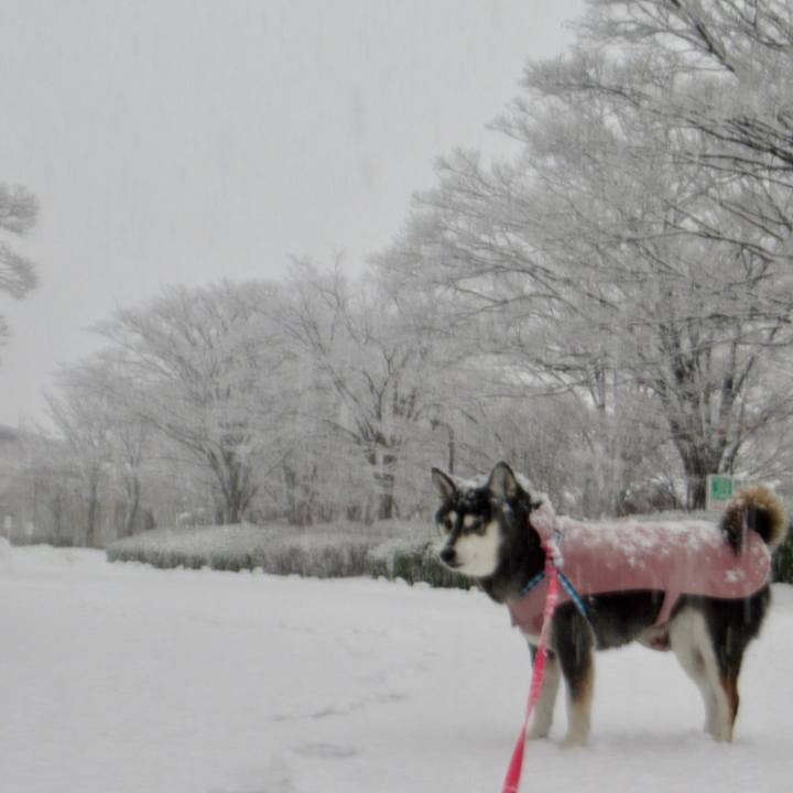 66974f53 b950 4559 90f8 9544d82e0b7b 1738304986485