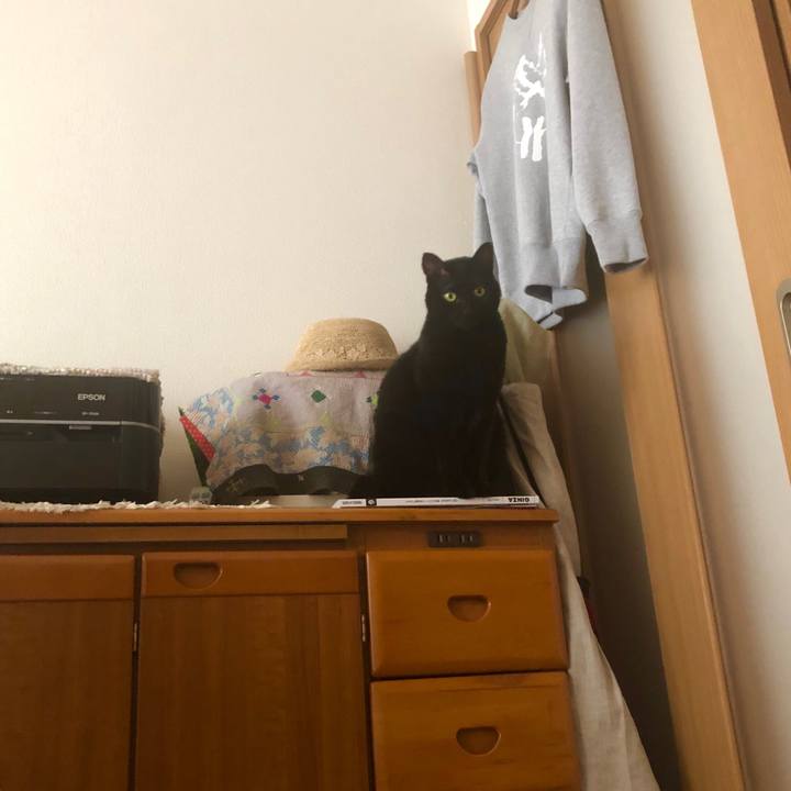 66976980 5890 4ae5 b85a a9914dd5d752 1544921361672