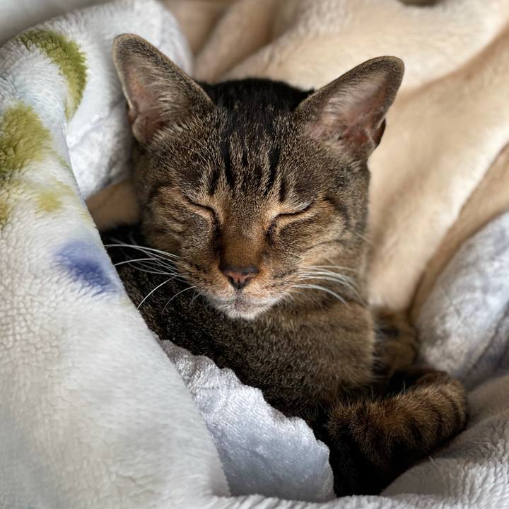 66979875 3d81 4c18 8b07 5ed374b6c046 1615427017677