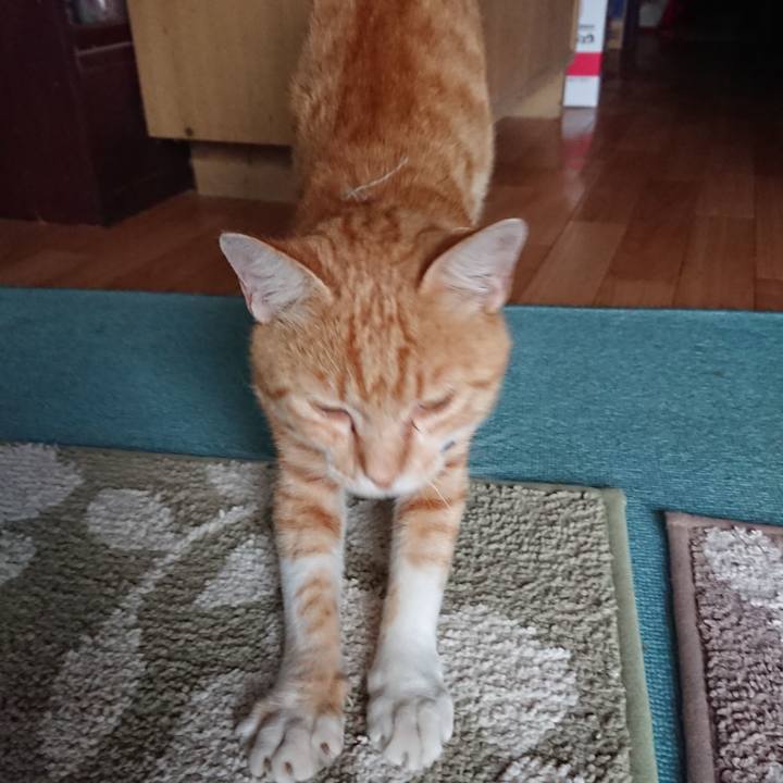 66979edc 91d7 4616 8c4a 98d7501f1eb0 1562923974250