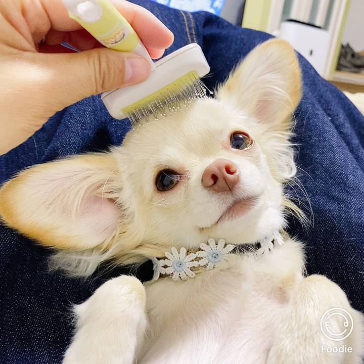 6697b65b 9c25 4e0b a022 2f5d508a4d65 1607070142513