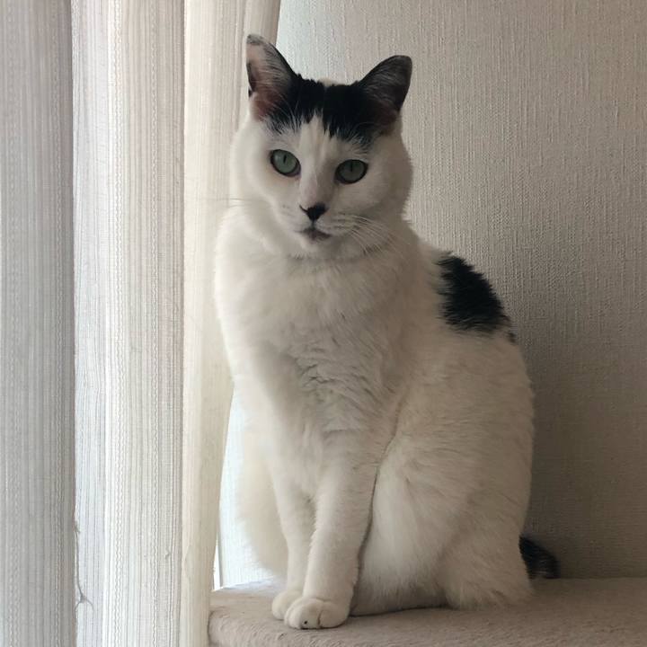 6697cfee 32fa 4b63 a932 7f56737c8141 1545348679916