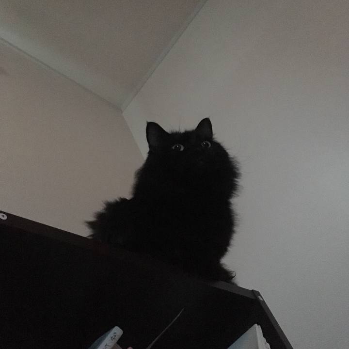 6697de28 08ce 4405 860e ad345ac2721a 1573353964330