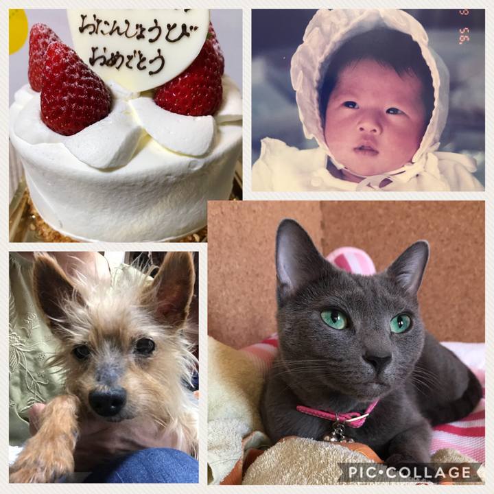 6697f87b 5df8 46ba 89bb ca22401f33cd 1527568512718