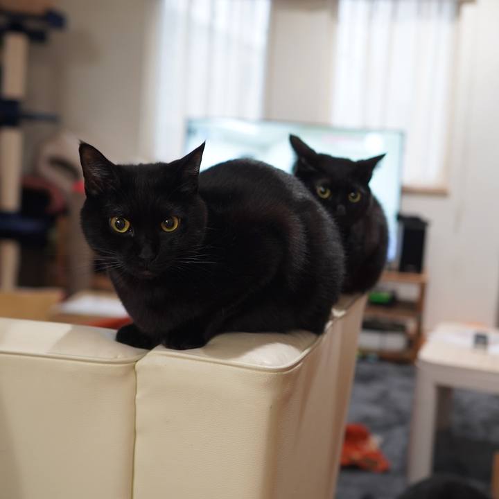 669827c5 1fb2 4cc8 8392 385edbefccab 1611582911154