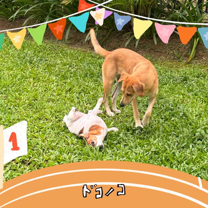 66986524 d4fc 4e6b 8c75 ad873d51587d 1761302151337