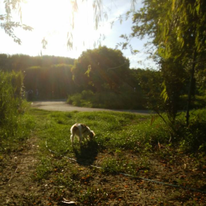 6698b4fa 5a60 498e 9a33 dc19ba97cd72 1534679570602