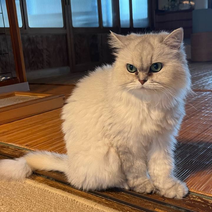 6698d449 ed5d 4ce5 9d97 26973bee3476 1755817484674