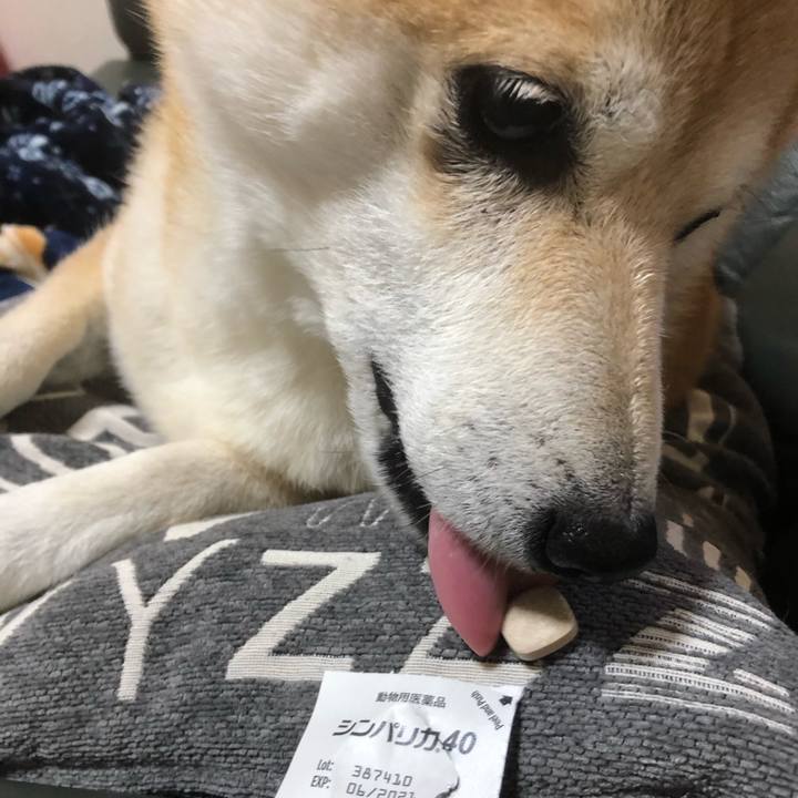 6698d857 8d6e 4cef 9d12 f51284e9b10a 1607141862527