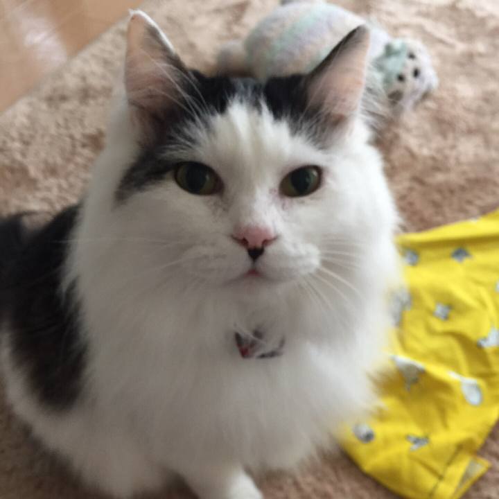 6698e28f 22f6 49d1 8ee3 06e1e8151b85 1521707897984