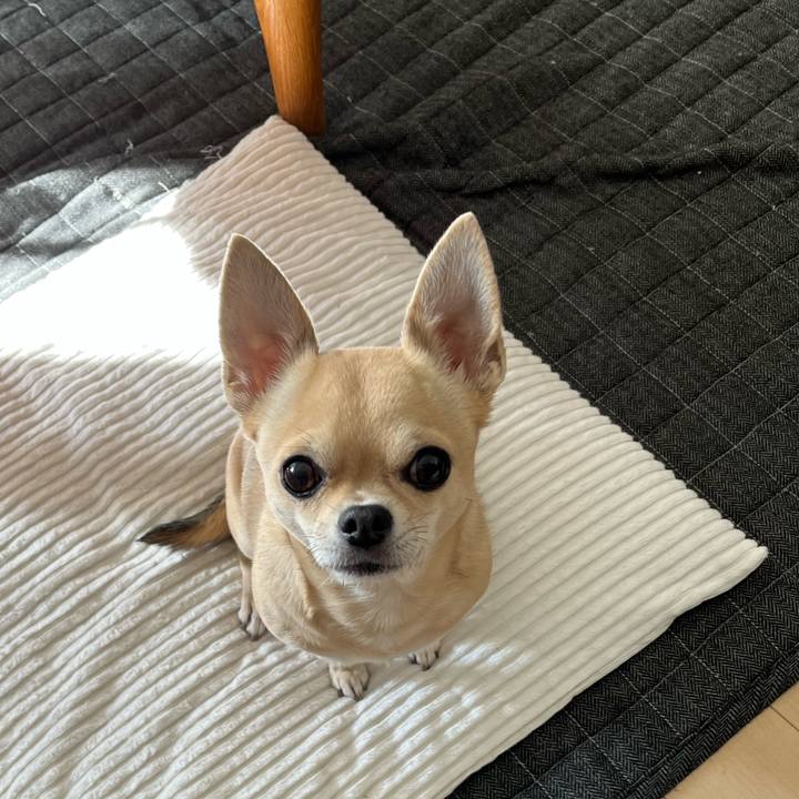 66990219 e283 4dcc bb0f e41589600a00 1636602714409