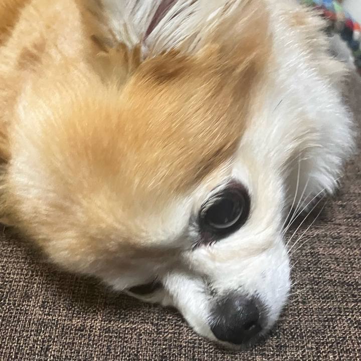 6699550a a98c 4317 98ff ae0d405e8413 1762062758652