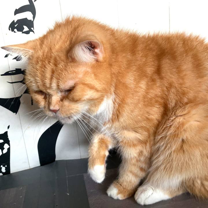 6699633a ce4a 47d6 aac1 1aee3bd0d038 1671232990401