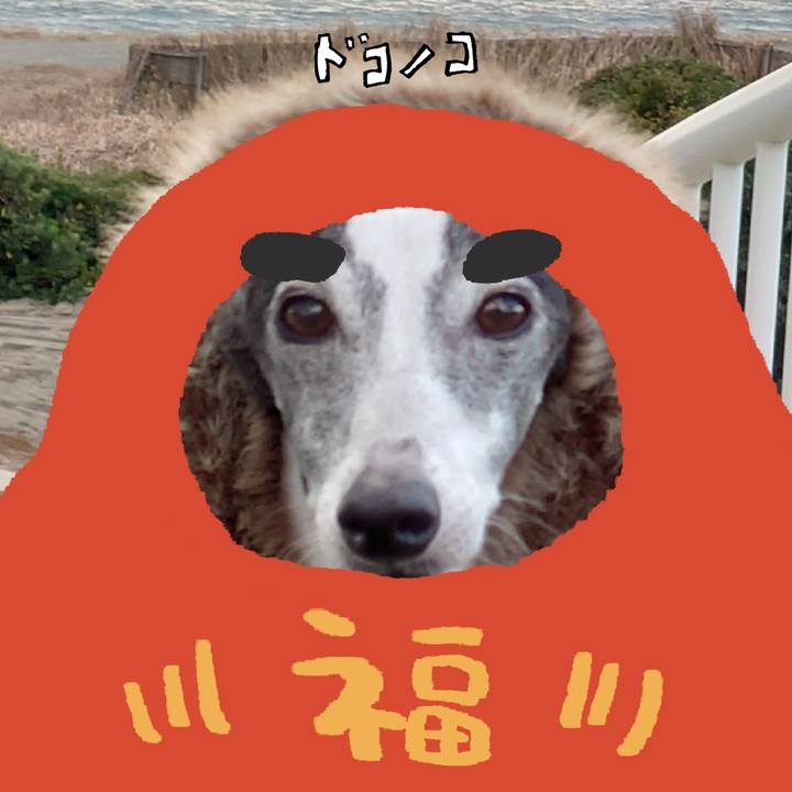 66997739 e817 4f68 bbff f4492ec4049c 1771832097801