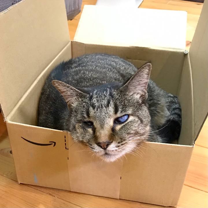 6699880c 1755 4bff b0c6 b5b25160a429 1626607654416