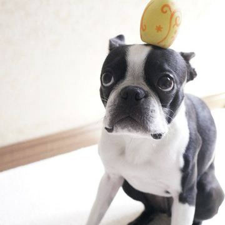 669999a4 1311 41fa 94ea 8dd5fbe06dc5 1556336495565