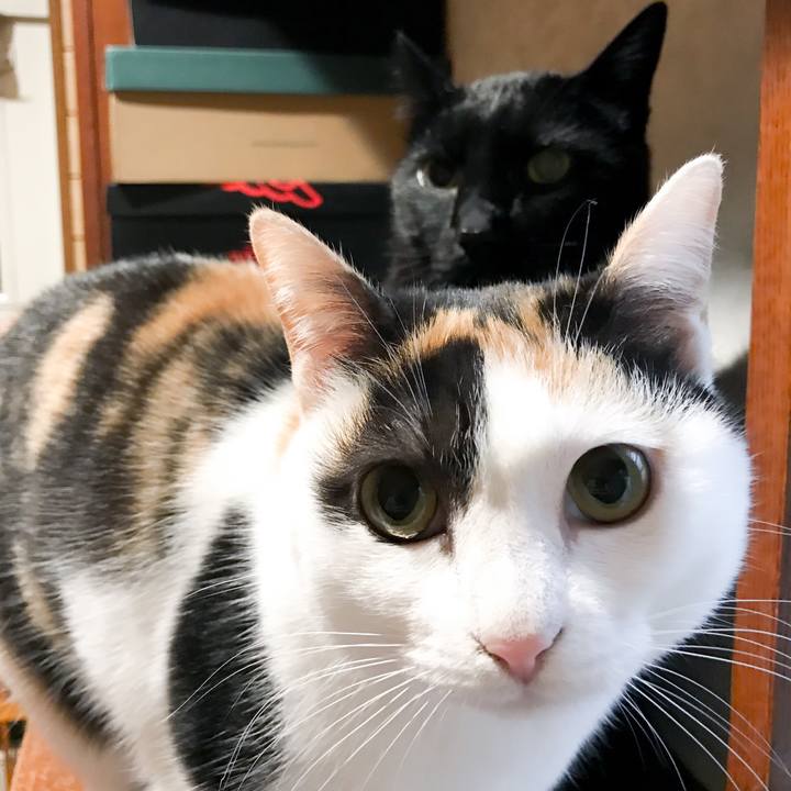 6699ac94 80d5 4170 acbb 266178cb4f02 1523112233624