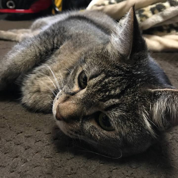 6699e5c9 a866 49dd 9d0a 0cf1d965d78e 1528259141981