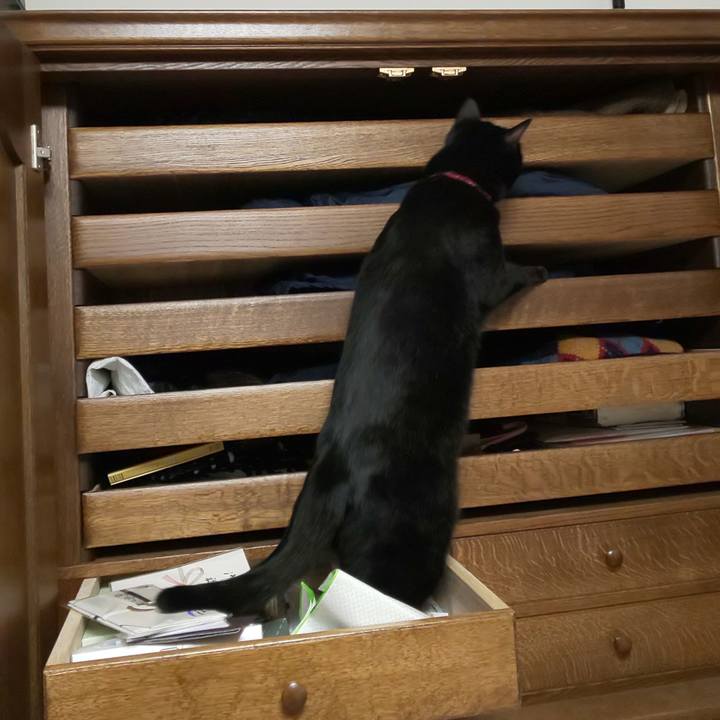 669a16a2 5179 4eb0 8d70 af9ed5500c45 1566606957397